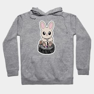 Pride Puck Bunny (Asexual) Hoodie